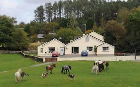 Muckross Riding Stables